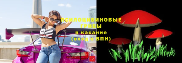 МДПВ Волосово