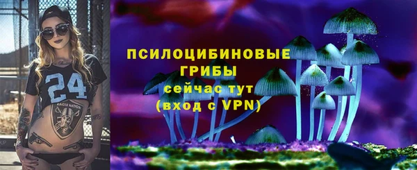 МДПВ Волосово
