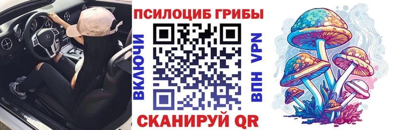 кракен как зайти  Лихославль  нарко площадка телеграм  Псилоцибиновые грибы мицелий 